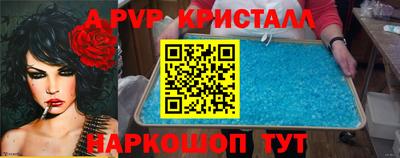 молекула духа Бердск
