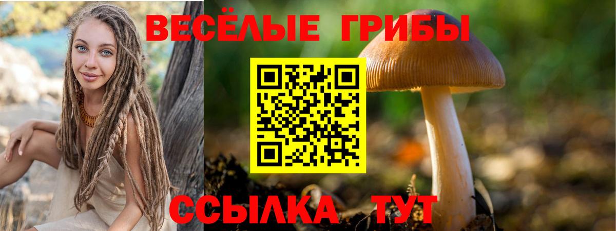 Киров  Галлюциногенные грибы ЛСД  Псилоцибиновые грибы мицелий  закладки  Вход с VPN 